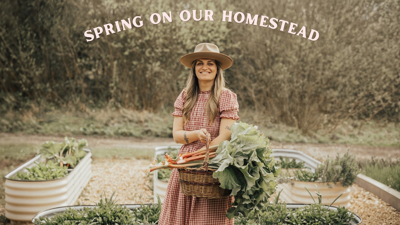 Homestead in the west